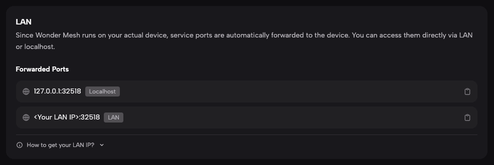 Networking tab showing LAN access address for the deployed service