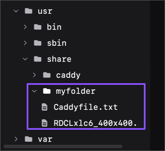 extracted folder structure